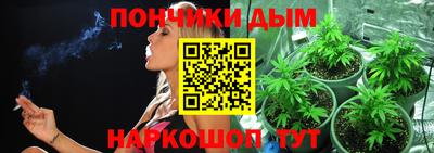 сатива Краснокаменск