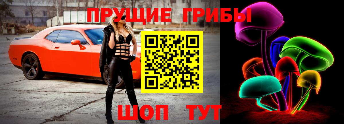 Псилоцибиновые грибы MAGIC MUSHROOMS  Псилоцибиновые грибы мицелий  Вход с VPN  Красногорск 